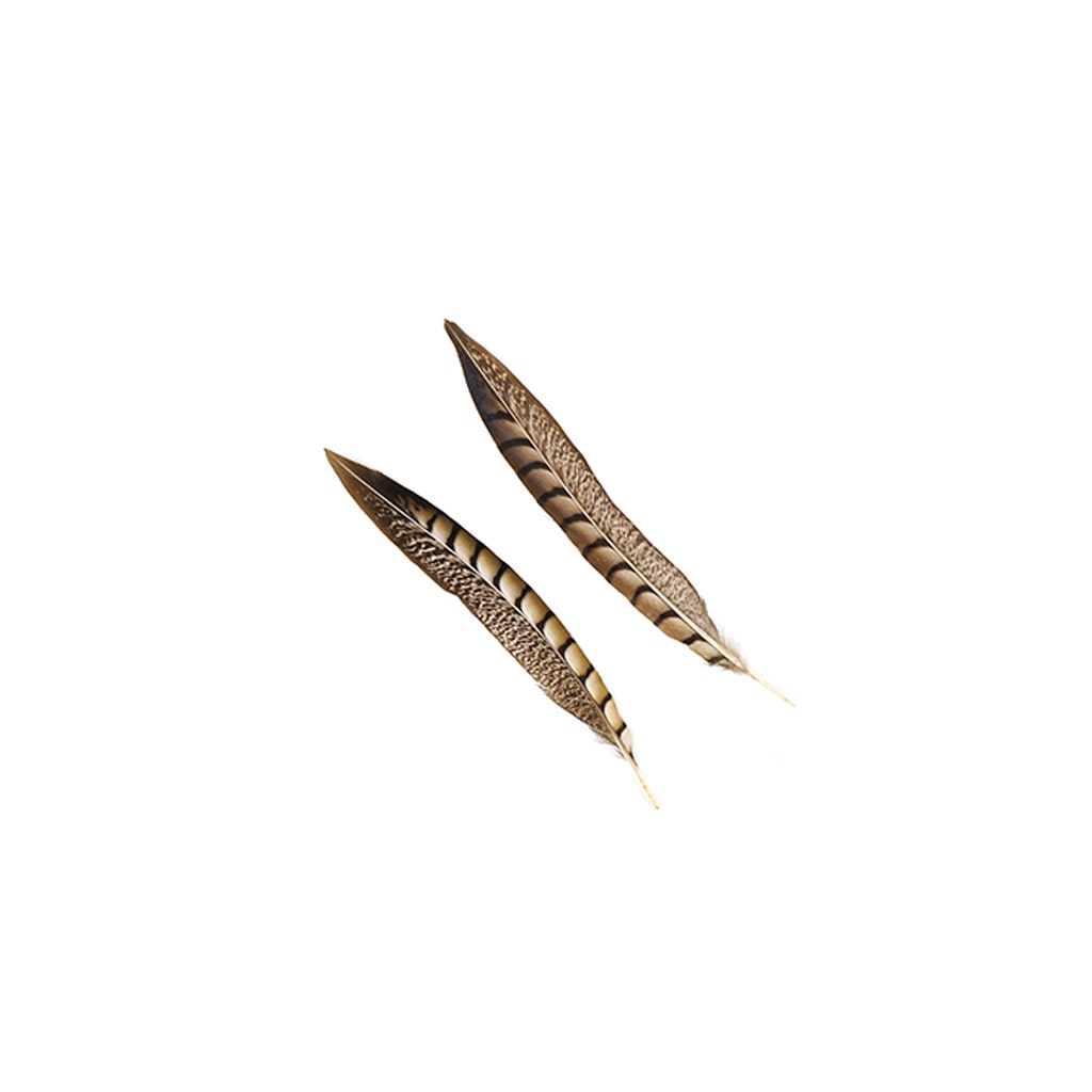 Lady Amherst Pheasant Tails - Natural - 8 - 12"