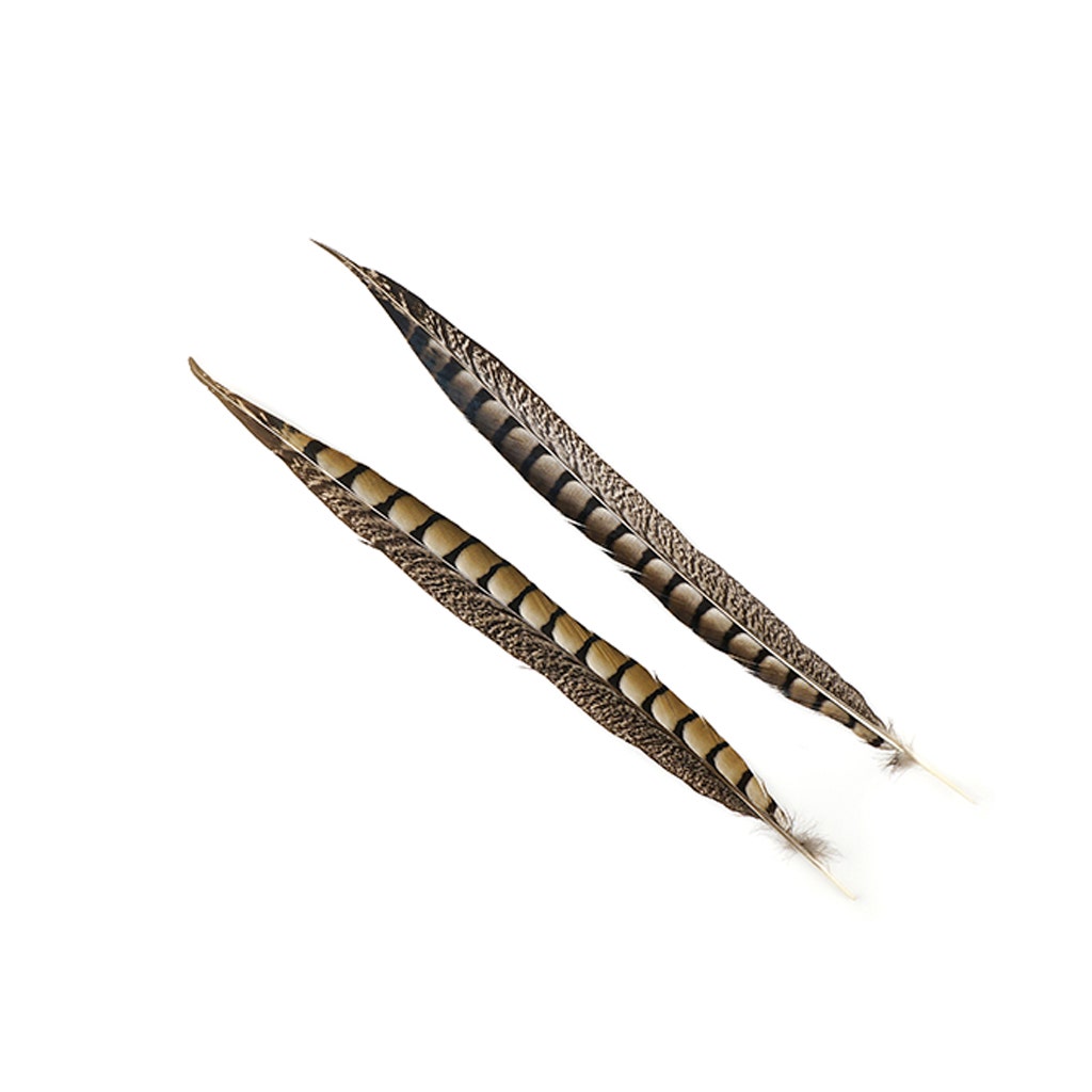 Lady Amherst Pheasant Tails - Natural - 12 - 16"