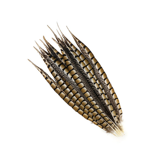 Lady Amherst Pheasant Tails - Natural - 12 - 16"