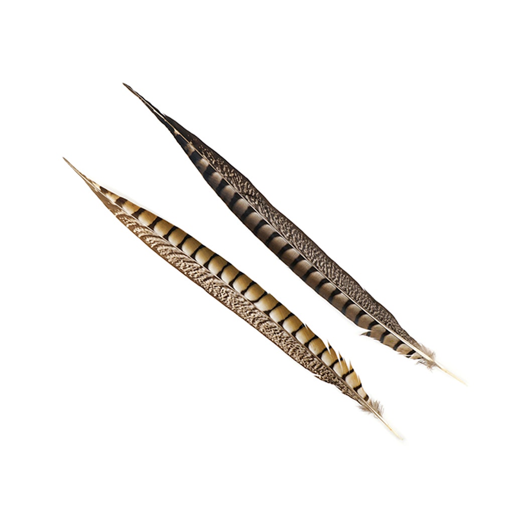 Lady Amherst Pheasant Tails - Natural - 16 - 20"