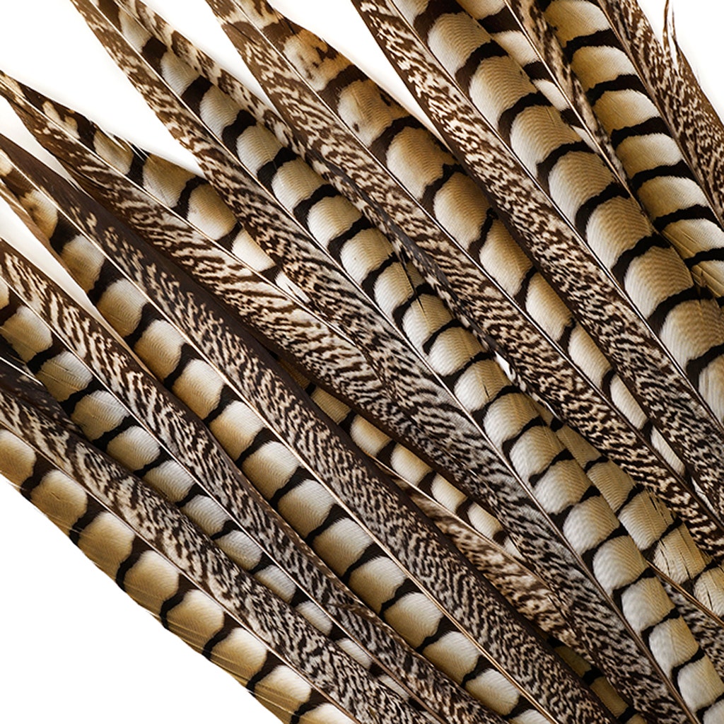 Lady Amherst Pheasant Tails - Natural - 16 - 20"