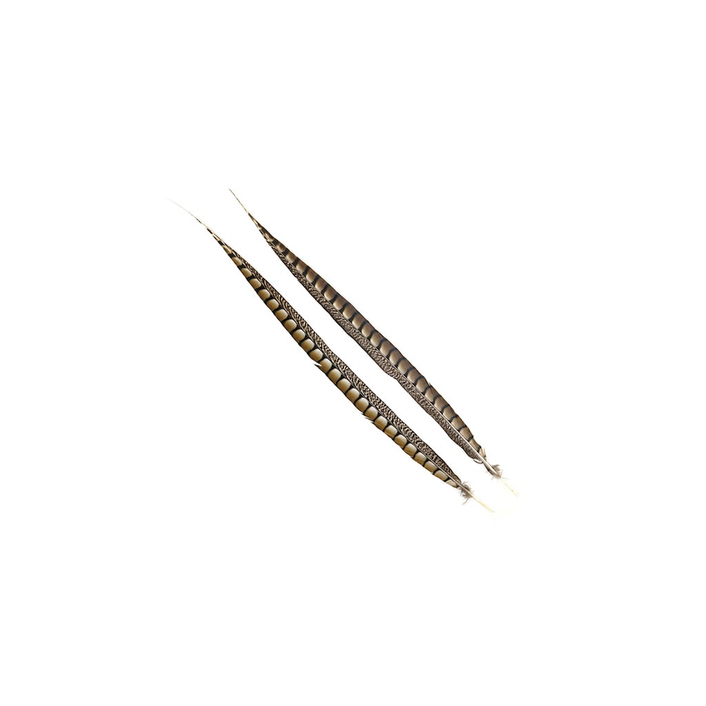 Lady Amherst Pheasant Tails - Natural - 20 - 30"