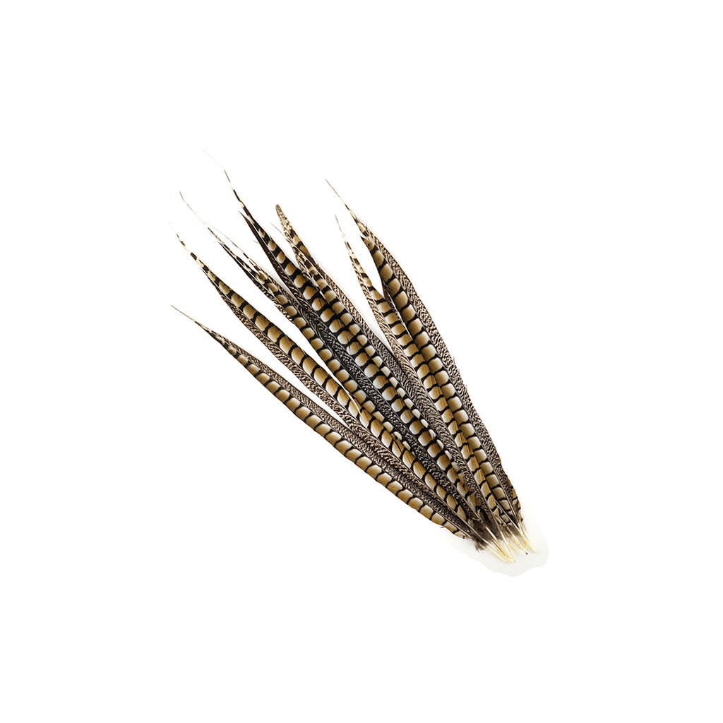 Lady Amherst Pheasant Tails - Natural - 20 - 30"