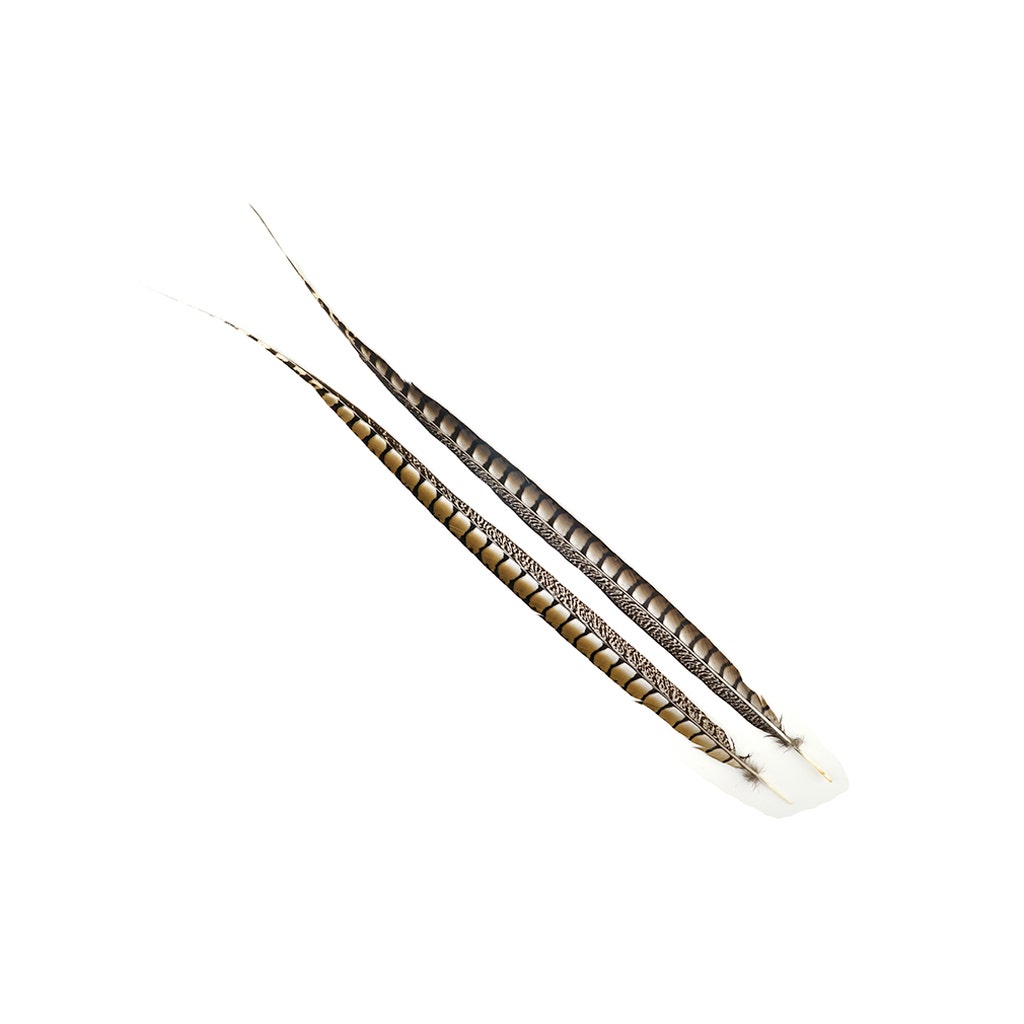 Lady Amherst Pheasant Tails - Natural - 30 - 35"
