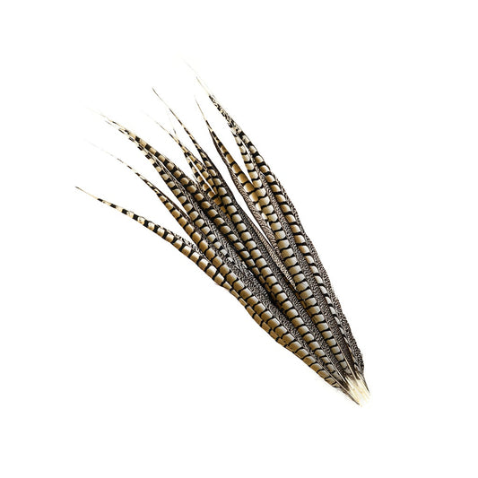 Lady Amherst Pheasant Tails - Natural - 30 - 35"