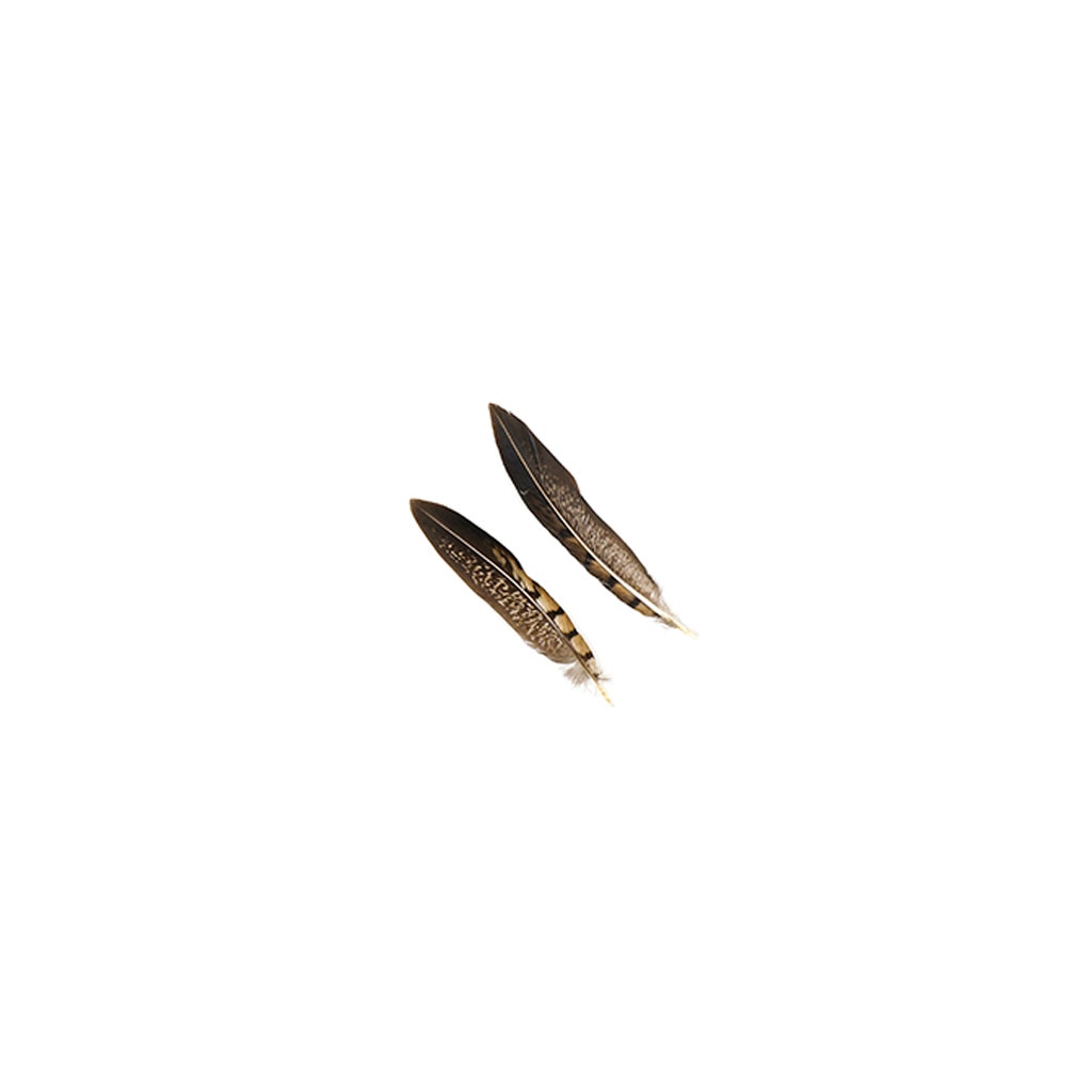 Lady Amherst Pheasant Tails - Natural - 4 - 6"