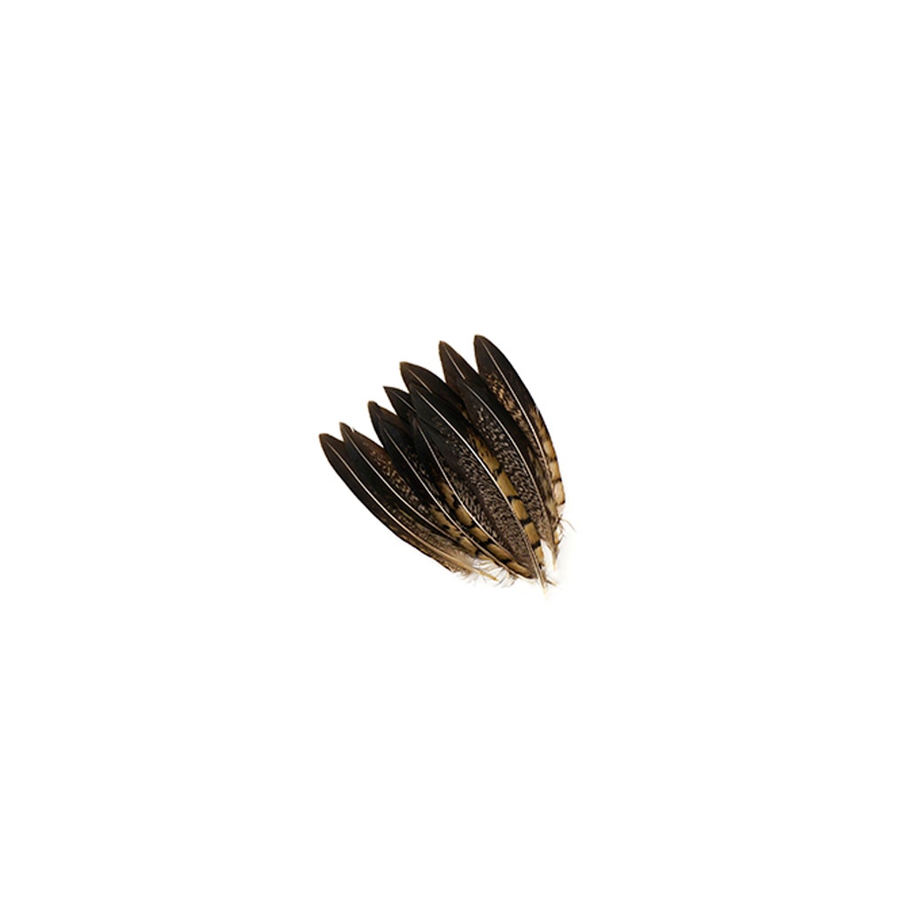 Lady Amherst Pheasant Tails - Natural - 4 - 6"
