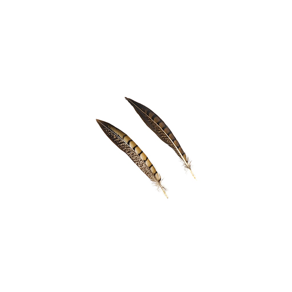 Lady Amherst Pheasant Tails - Natural - 6 - 8"