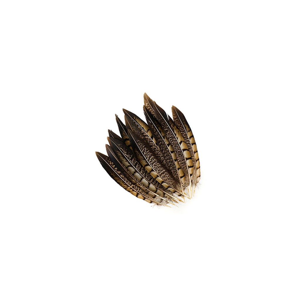Lady Amherst Pheasant Tails - Natural - 6 - 8"