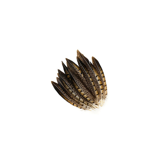 Lady Amherst Pheasant Tails - Natural - 6 - 8"
