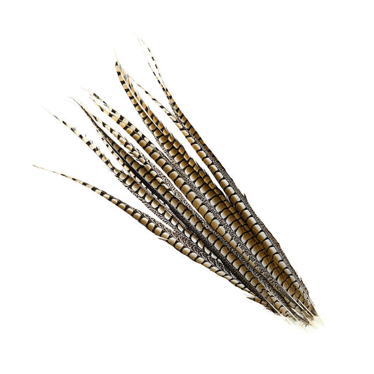 Lady Amherst Pheasant Tails 35" and Up- Natural