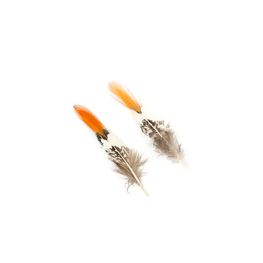 Lady Amherst Red Top Tails Cosse - Natural - 2-4"