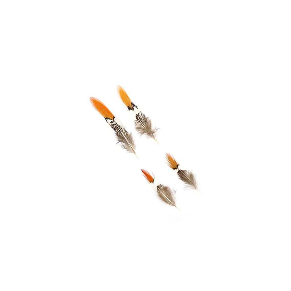 Lady Amherst Red Top Tails Cosse - Natural - 2-4"