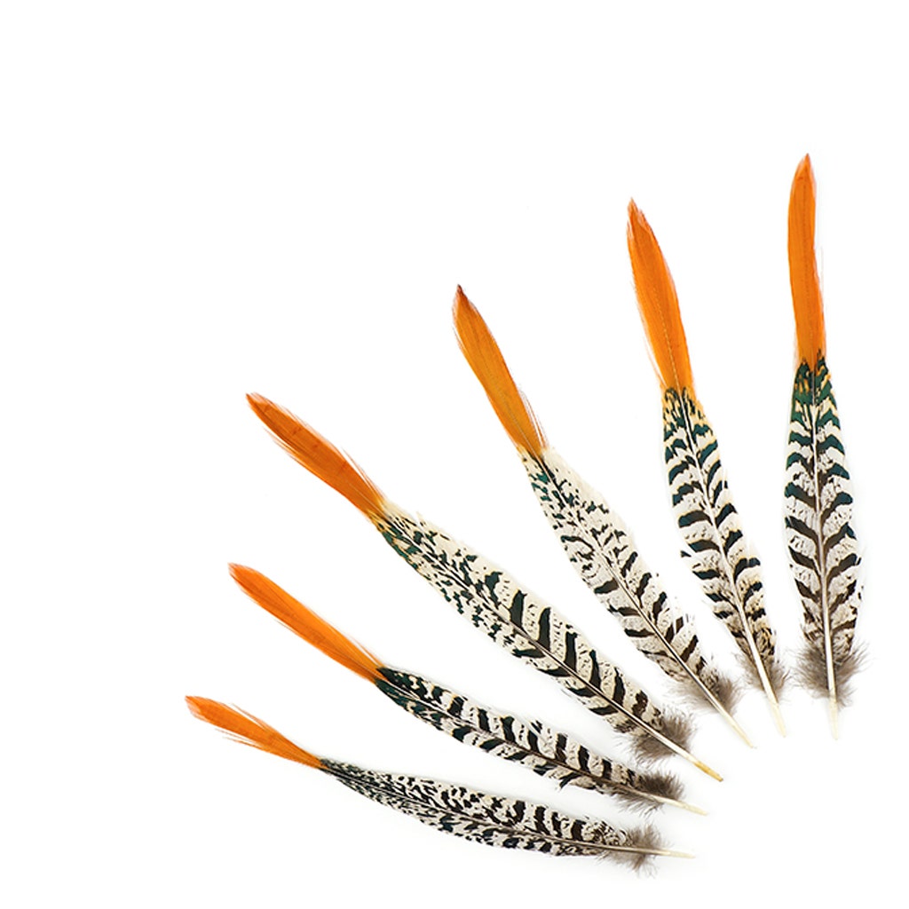 Lady Amherst Red Top Tails - Natural-8-12"
