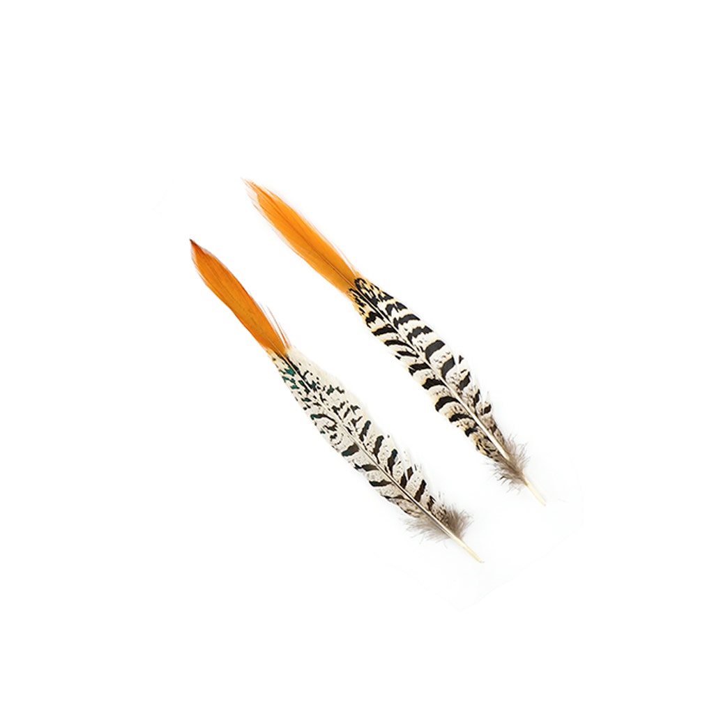 Lady Amherst Red Top Tails - Natural-8-12"