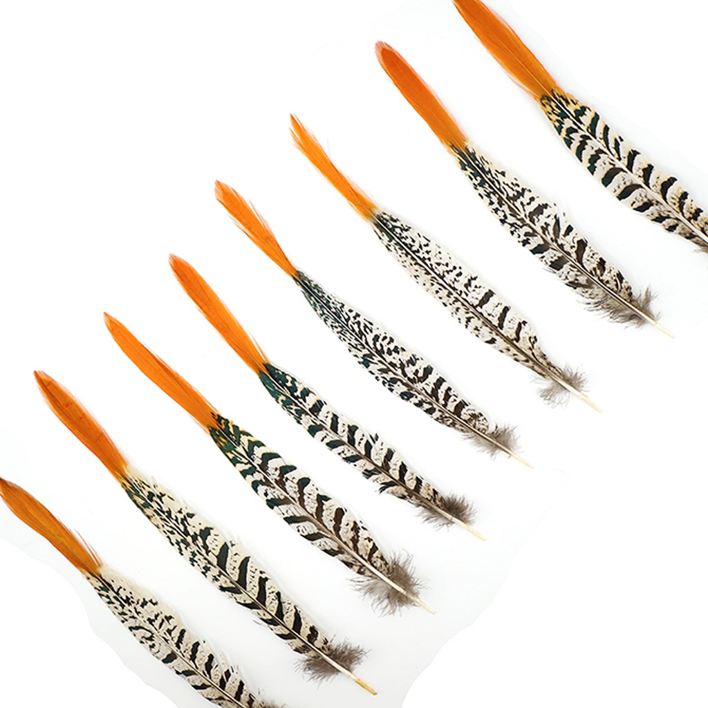 Lady Amherst Red Top Tails - Natural-8-12"