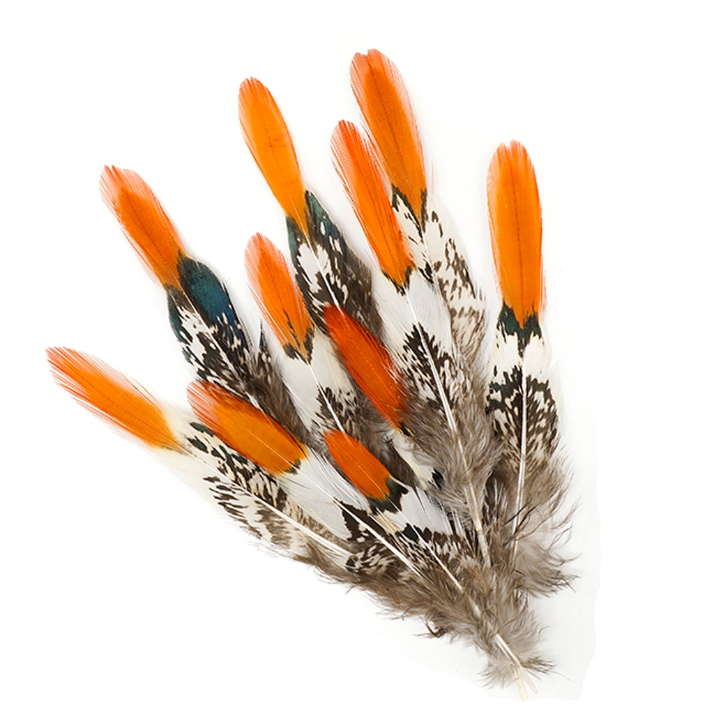 Lady Amherst Red Top Tails - Natural-4-6"