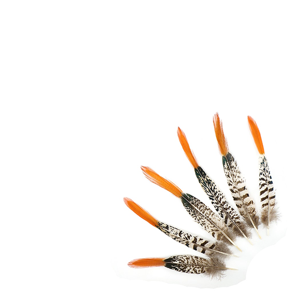 Lady Amherst Red Top Tails - Natural-6-8"