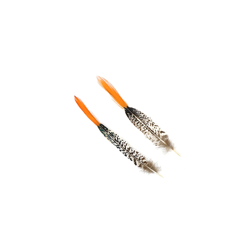 Lady Amherst Red Top Tails - Natural-6-8"