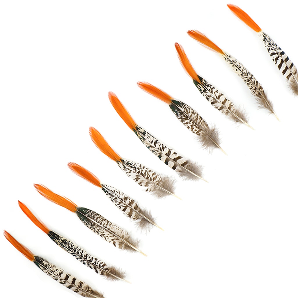 Lady Amherst Red Top Tails - Natural-6-8"