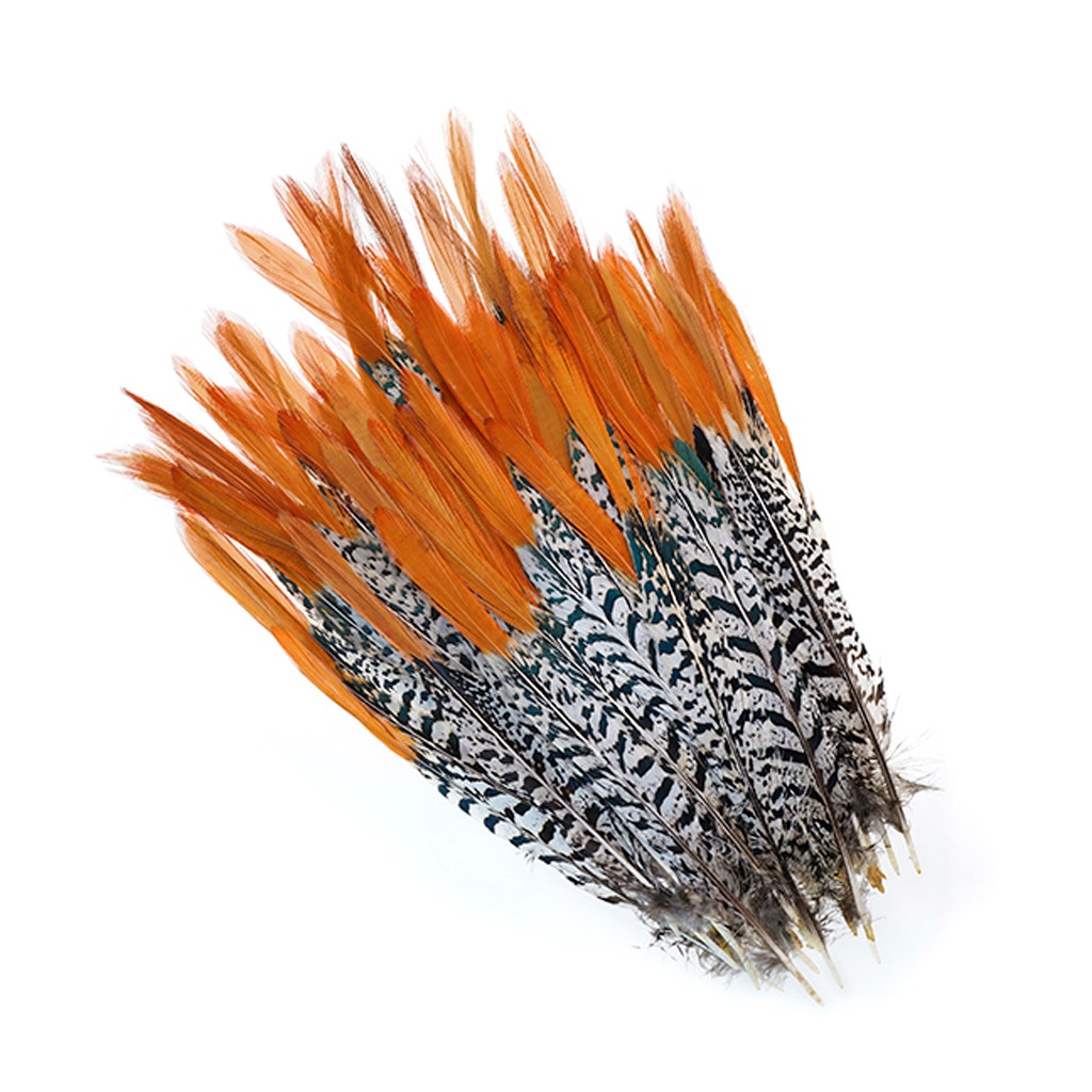 Lady Amherst Red Top Tails - Natural-6-8"