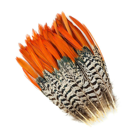 Lady Amherst Red Top Tail Feathers - Natural