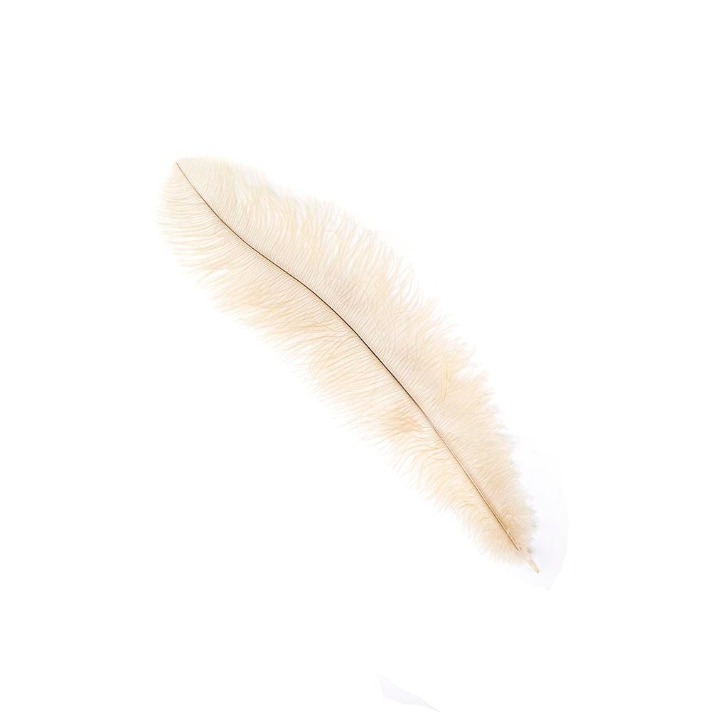 Ostrich Feathers-Floss - Natural Tonals