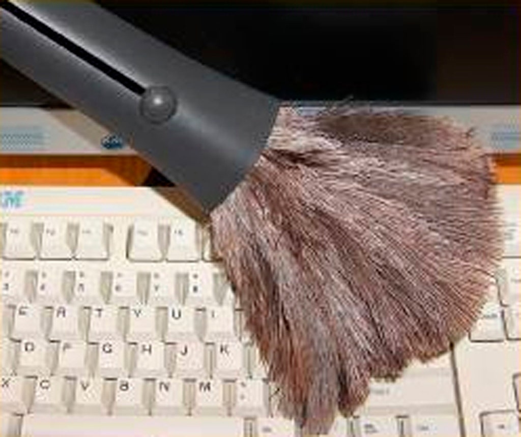 Feather Duster-Retractable - Natural