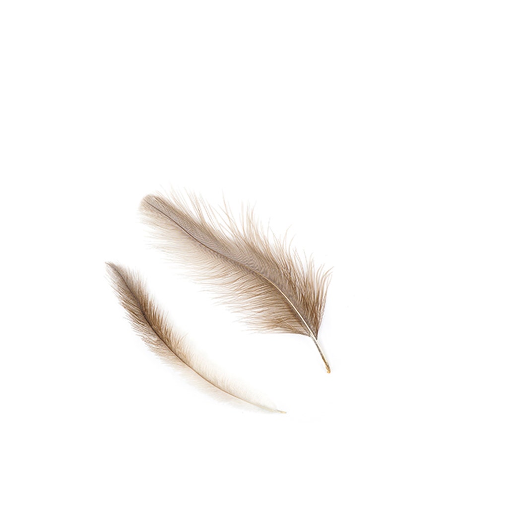 Rhea Tail Feathers Selected - Natural