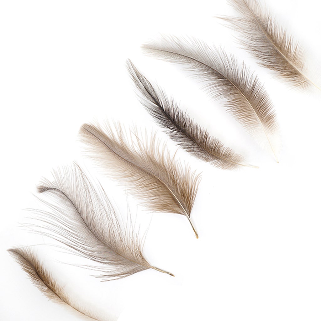Rhea Tail Feathers Selected - Natural