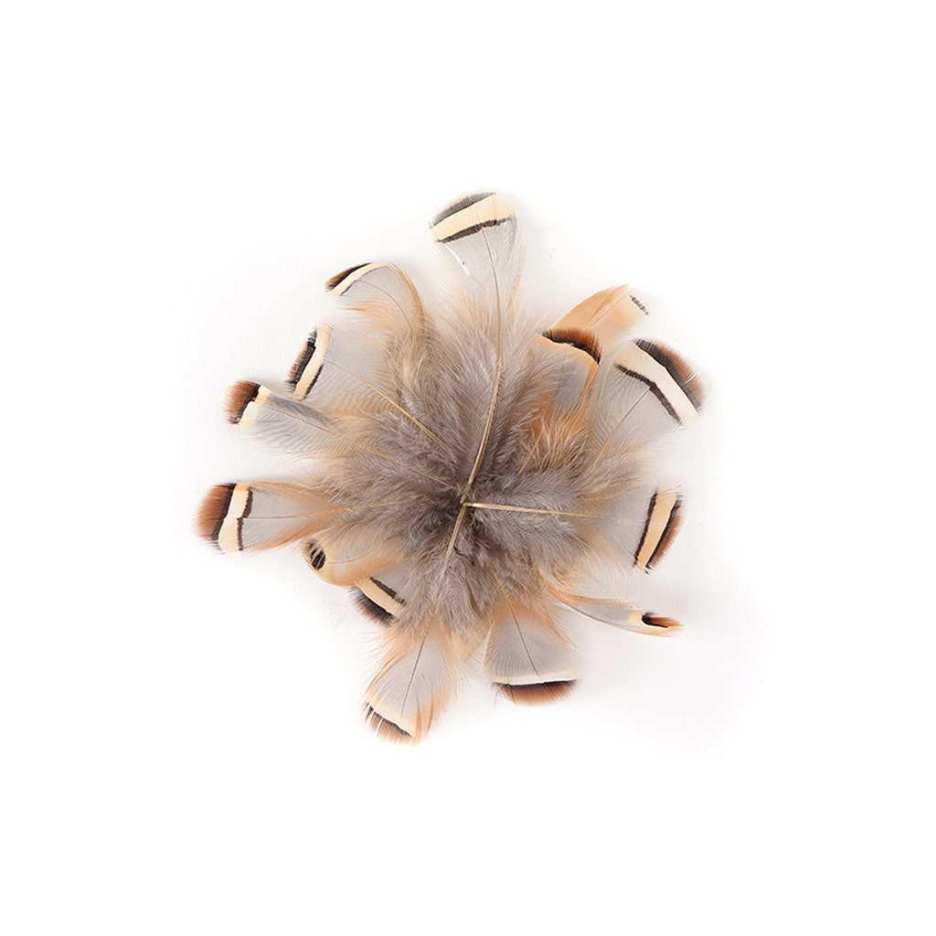 Partridge Plumage Feathers - Natural