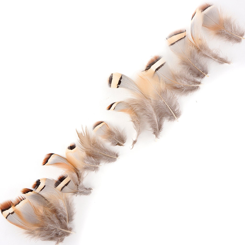 Partridge Plumage Feathers - Natural