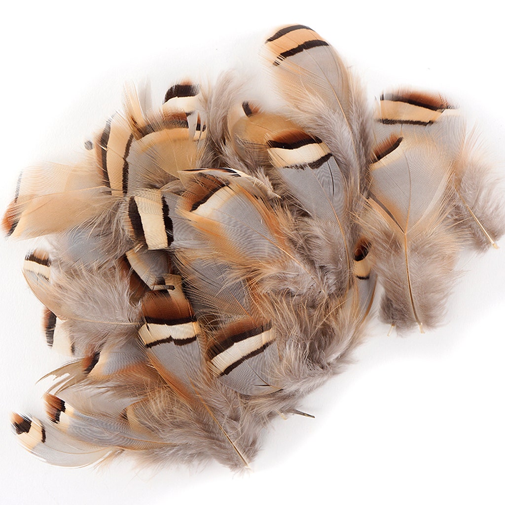 Partridge Plumage Feathers - Natural