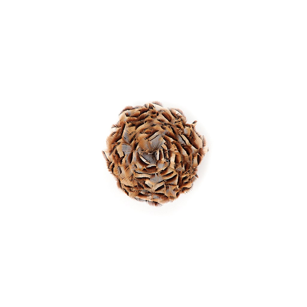Partridge Plumage Feathers - Natural