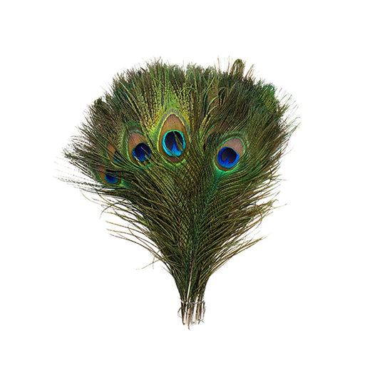 Peacock Tail Eyes Small and Large Natural - 8 -15"