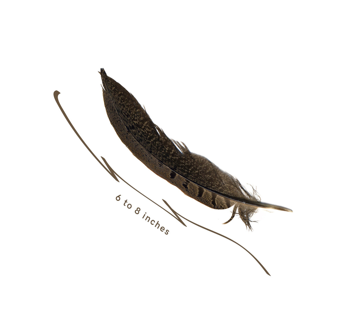 Peacock - Pheasant - Hackle Mix - Kelly - Natural