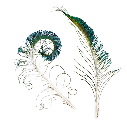 Peacock Feather Swords - Natural