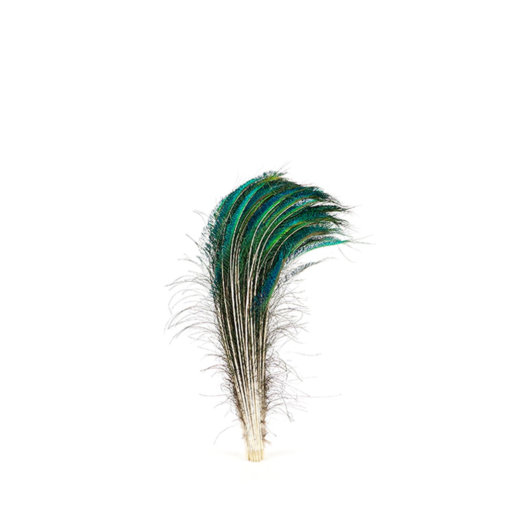 Peacock Feather Swords Natural - RT - 25 - 30"