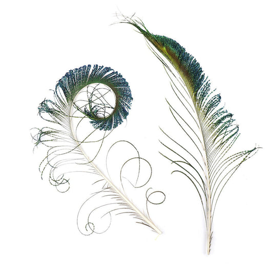 Peacock Feather Swords Natural - 25 -30" - 25pcs