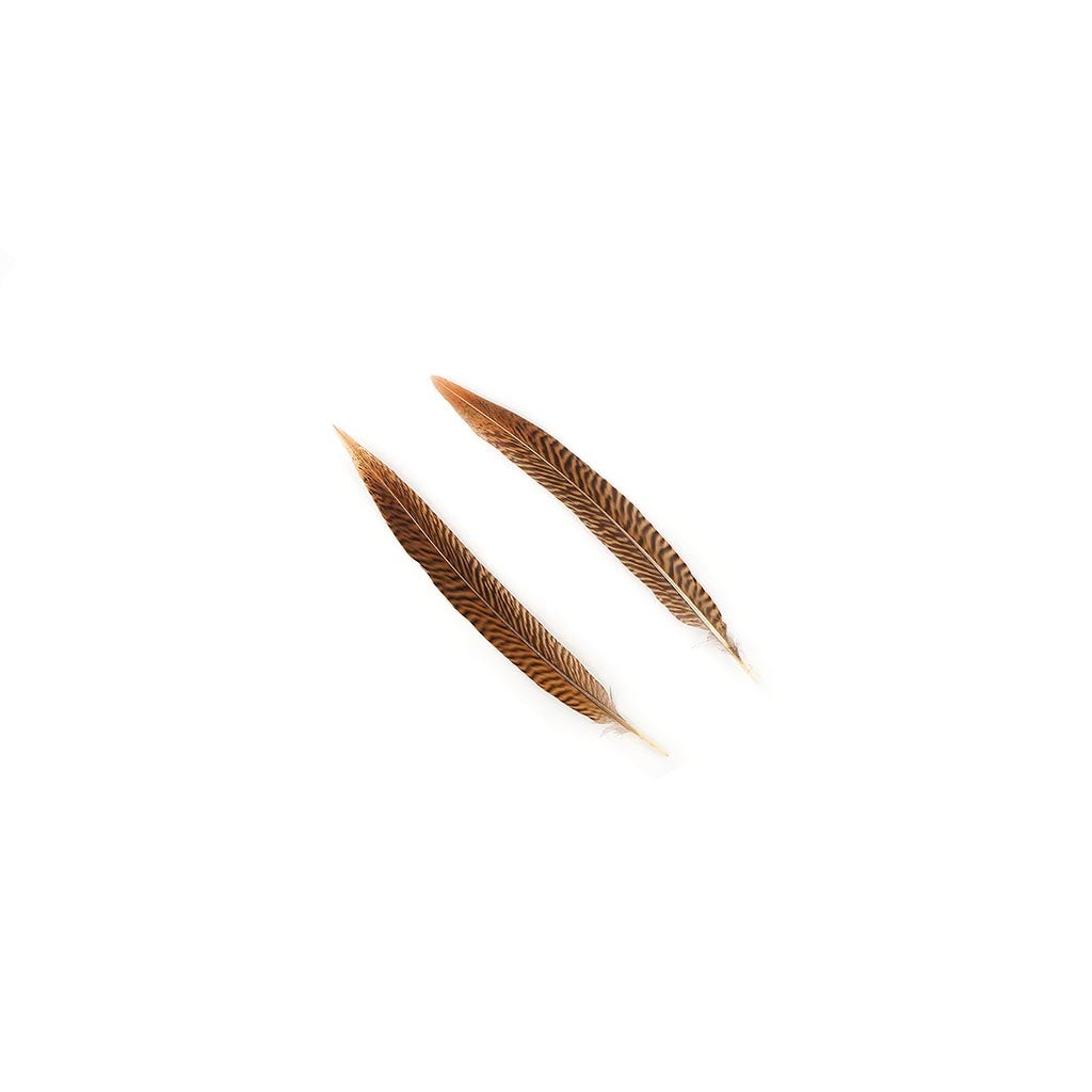 Golden Pheasant Tails Natural - 8 -10"