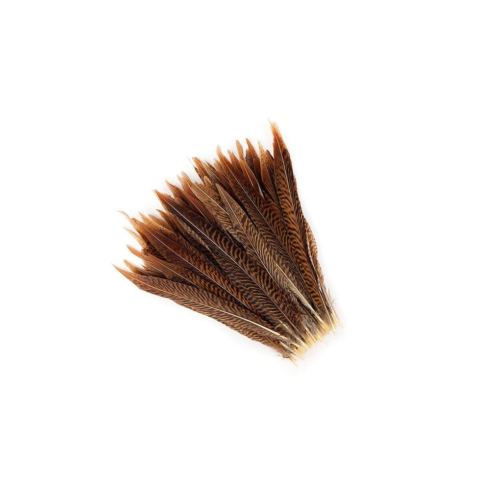 Golden Pheasant Tails Natural - 8 -10"
