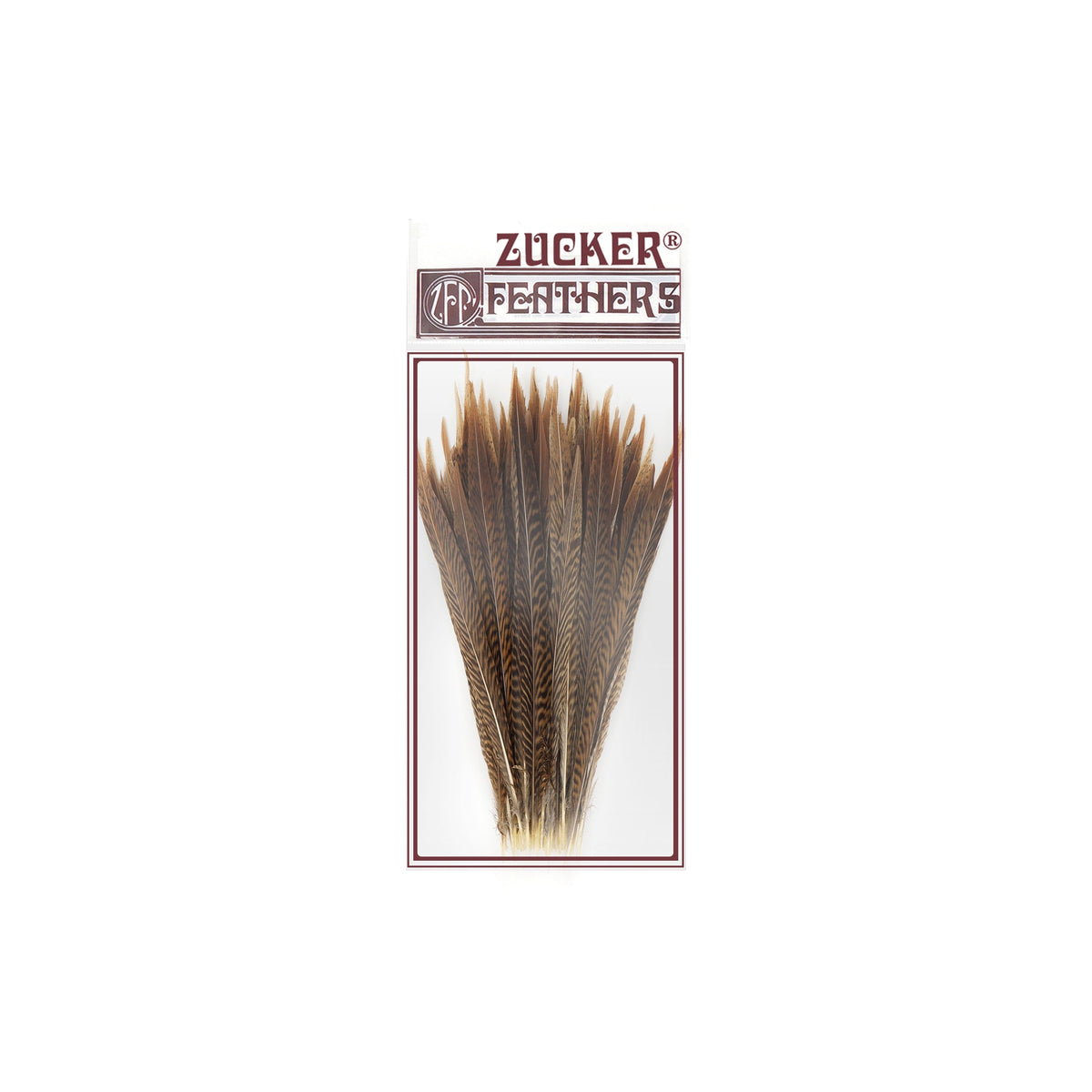 Golden Pheasant Tails Natural - 8 -10"