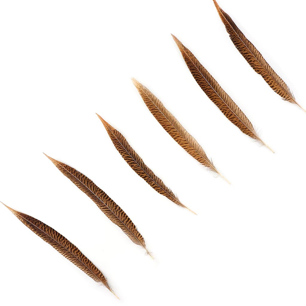 Golden Pheasant Tails Natural - 10 -12"