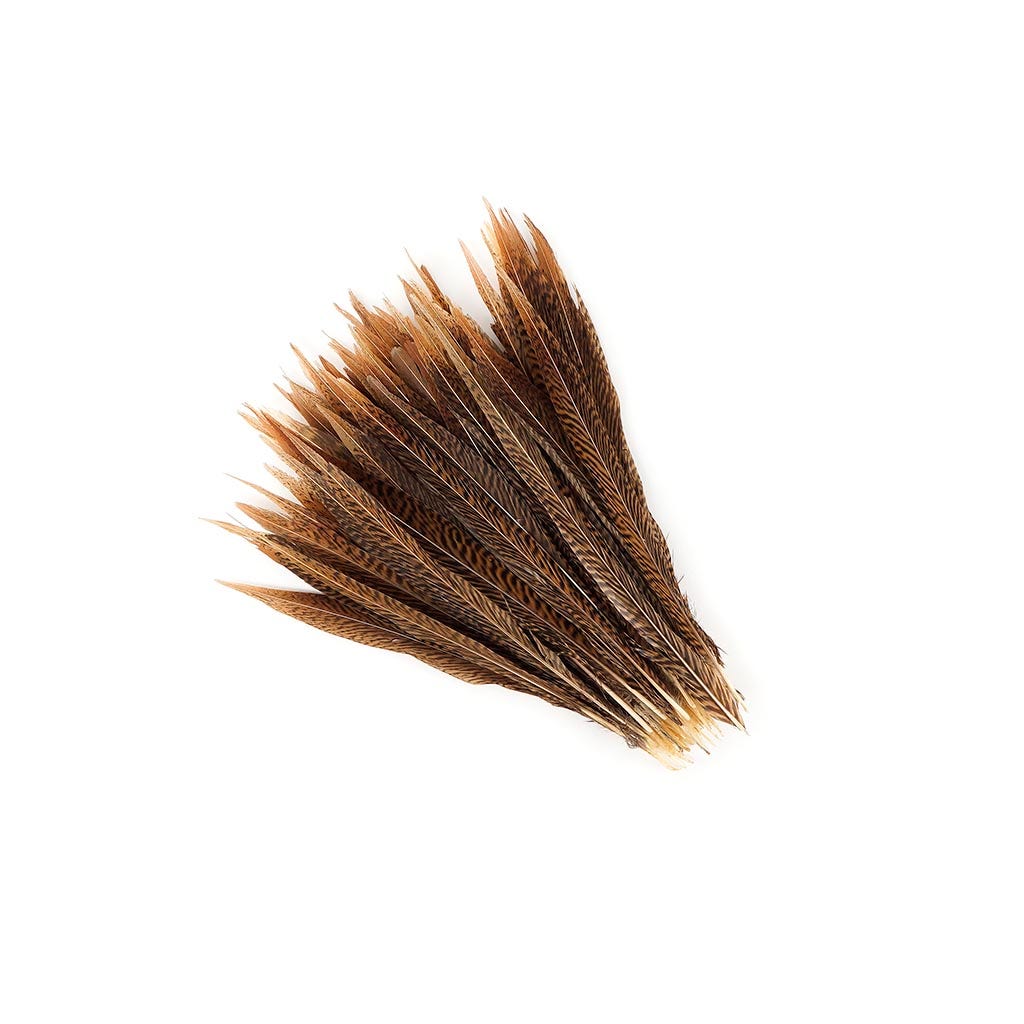 Golden Pheasant Tails Natural - 10 -12"