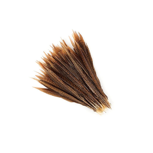 Golden Pheasant Tails Natural - 10 -12"