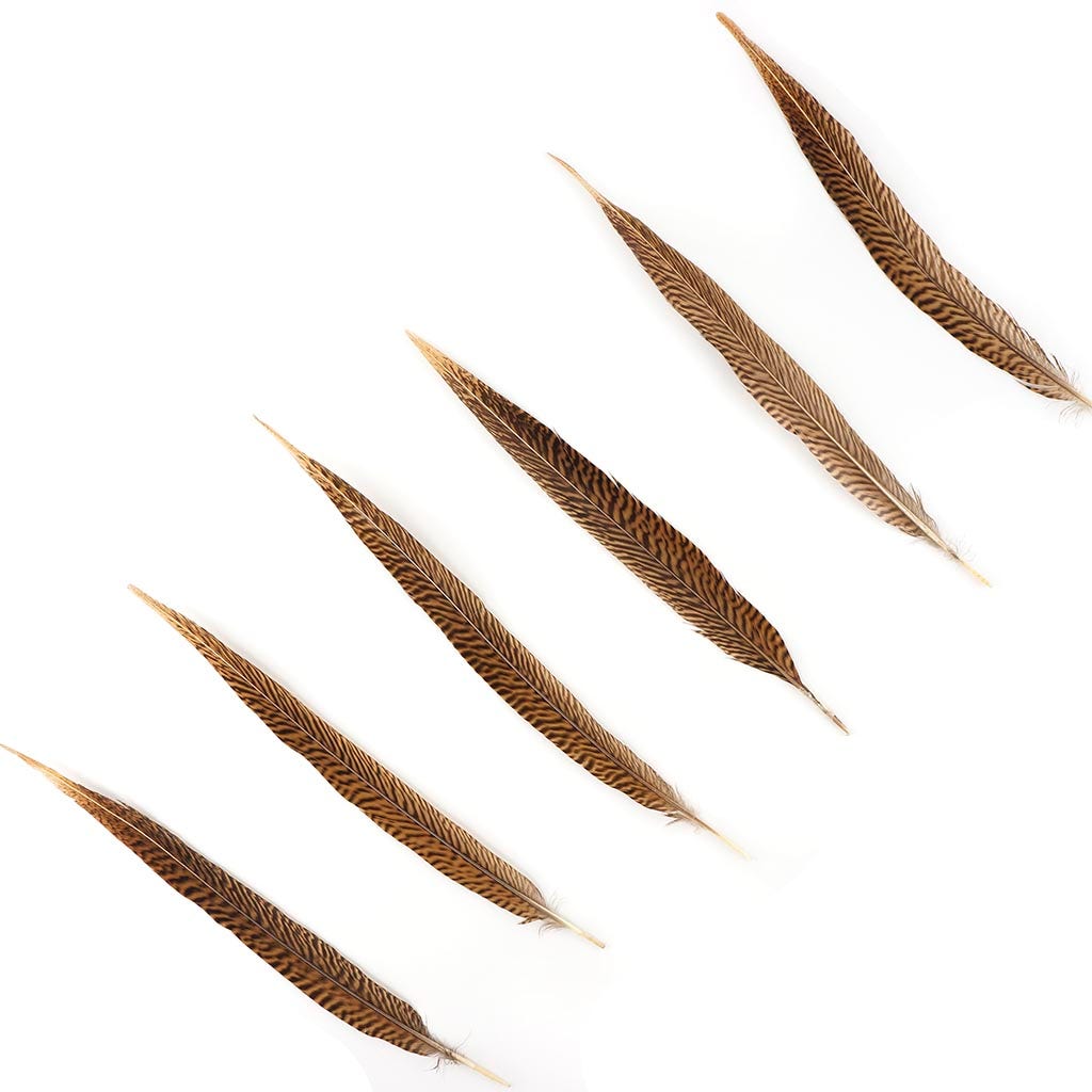 Golden Pheasant Tails Natural - 12 - 14"