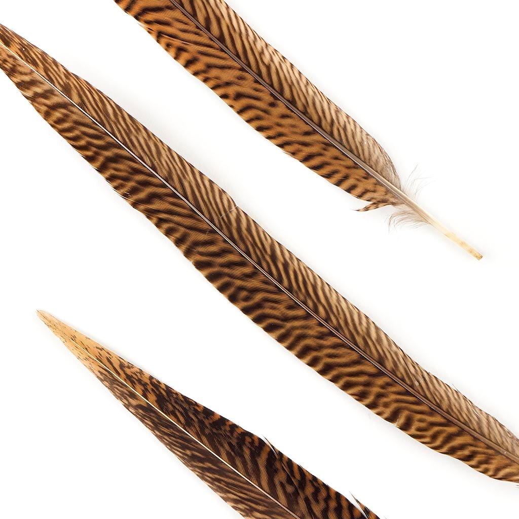 10 PC/PKG Golden Pheasant Tails 12-14"- Natural