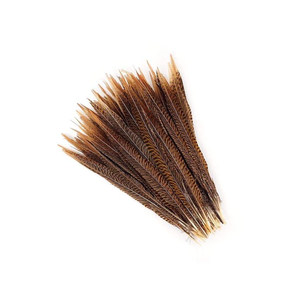 Golden Pheasant Tails Natural - 12 - 14"