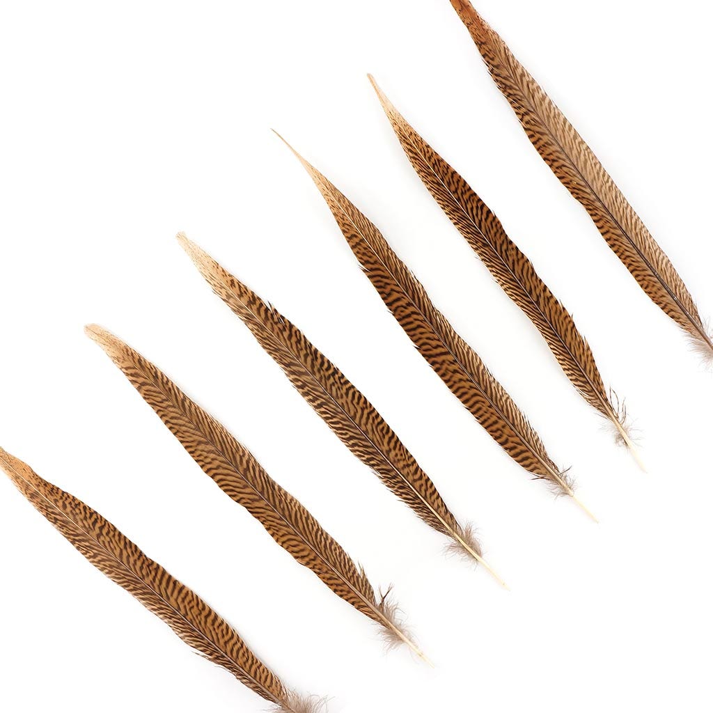 Golden Pheasant Tails Natural - 14 - 16"