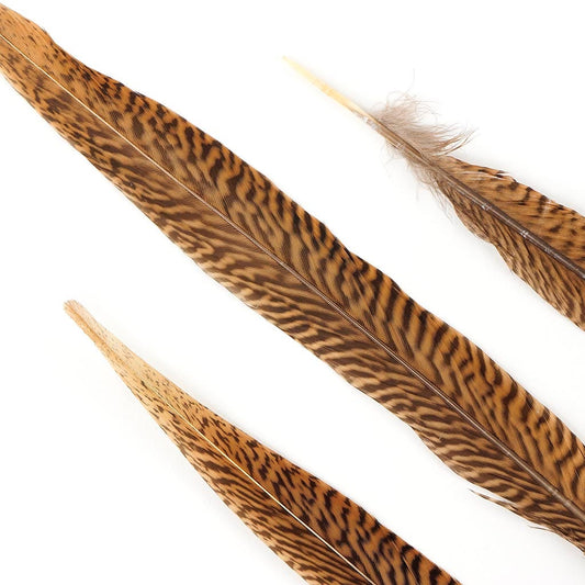 10 PC/PKG Golden Pheasant Tails 14-16" - Natural